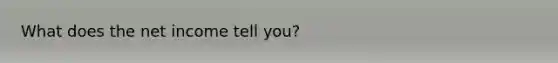 What does the net income tell you?