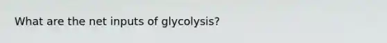 What are the net inputs of glycolysis?