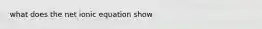 what does the net ionic equation show