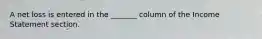 A net loss is entered in the _______ column of the Income Statement section.