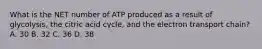 What is the NET number of ATP produced as a result of glycolysis, the citric acid cycle, and the electron transport chain? A. 30 B. 32 C. 36 D. 38