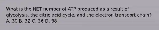 What is the NET number of ATP produced as a result of glycolysis, the citric acid cycle, and the electron transport chain? A. 30 B. 32 C. 36 D. 38