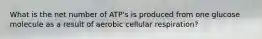 What is the net number of ATP's is produced from one glucose molecule as a result of aerobic cellular respiration?