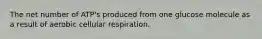 The net number of ATP's produced from one glucose molecule as a result of aerobic cellular respiration.