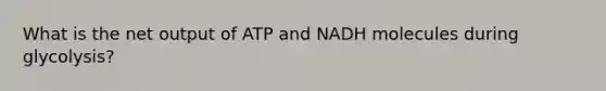 What is the net output of ATP and NADH molecules during glycolysis?