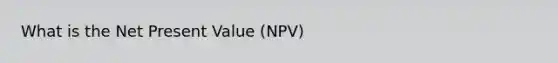 What is the Net Present Value (NPV)