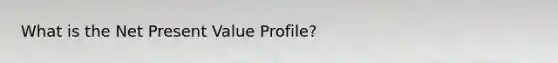 What is the Net Present Value Profile?
