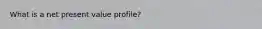 What is a net present value profile?