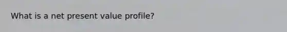 What is a net present value profile?