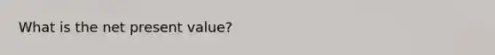 What is the net present value?