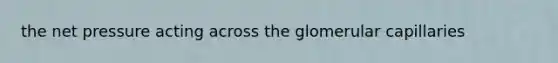 the net pressure acting across the glomerular capillaries