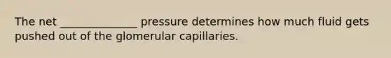 The net ______________ pressure determines how much fluid gets pushed out of the glomerular capillaries.