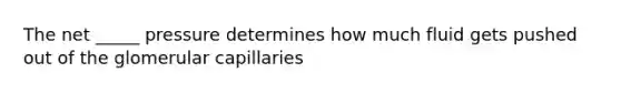 The net _____ pressure determines how much fluid gets pushed out of the glomerular capillaries