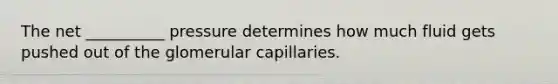 The net __________ pressure determines how much fluid gets pushed out of the glomerular capillaries.