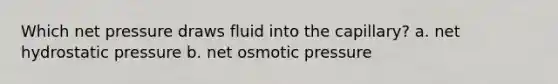 Which net pressure draws fluid into the capillary? a. net hydrostatic pressure b. net osmotic pressure