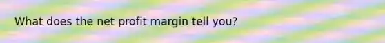 What does the net profit margin tell you?