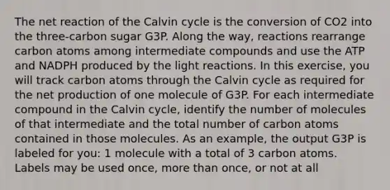 The net reaction of the Calvin cycle is the conversion of CO2 into the three-carbon sugar G3P. Along the way, reactions rearrange carbon atoms among intermediate compounds and use the ATP and NADPH produced by the <a href='https://www.questionai.com/knowledge/kSUoWrrvoC-light-reactions' class='anchor-knowledge'>light reactions</a>. In this exercise, you will track carbon atoms through the Calvin cycle as required for the net production of one molecule of G3P. For each intermediate compound in the Calvin cycle, identify the number of molecules of that intermediate and the total number of carbon atoms contained in those molecules. As an example, the output G3P is labeled for you: 1 molecule with a total of 3 carbon atoms. Labels may be used once, <a href='https://www.questionai.com/knowledge/keWHlEPx42-more-than' class='anchor-knowledge'>more than</a> once, or not at all