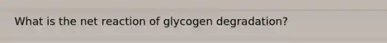 What is the net reaction of glycogen degradation?