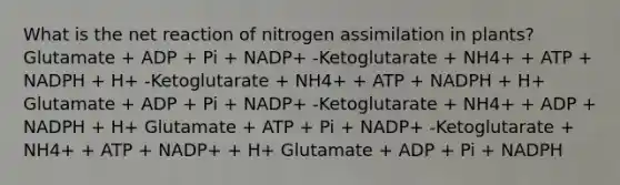 What is the net reaction of nitrogen assimilation in plants? Glutamate + ADP + Pi + NADP+ -Ketoglutarate + NH4+ + ATP + NADPH + H+ -Ketoglutarate + NH4+ + ATP + NADPH + H+ Glutamate + ADP + Pi + NADP+ -Ketoglutarate + NH4+ + ADP + NADPH + H+ Glutamate + ATP + Pi + NADP+ -Ketoglutarate + NH4+ + ATP + NADP+ + H+ Glutamate + ADP + Pi + NADPH