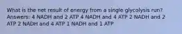 What is the net result of energy from a single glycolysis run? Answers: 4 NADH and 2 ATP 4 NADH and 4 ATP 2 NADH and 2 ATP 2 NADH and 4 ATP 1 NADH and 1 ATP