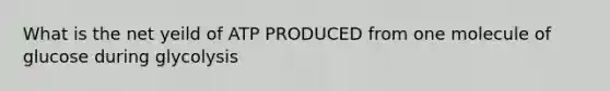 What is the net yeild of ATP PRODUCED from one molecule of glucose during glycolysis