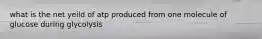 what is the net yeild of atp produced from one molecule of glucose during glycolysis