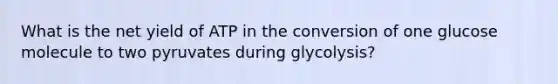 What is the net yield of ATP in the conversion of one glucose molecule to two pyruvates during glycolysis?