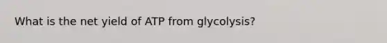 What is the net yield of ATP from glycolysis?