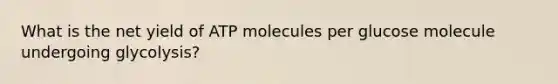 What is the net yield of ATP molecules per glucose molecule undergoing glycolysis?