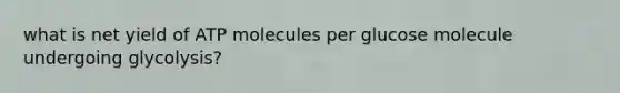 what is net yield of ATP molecules per glucose molecule undergoing glycolysis?