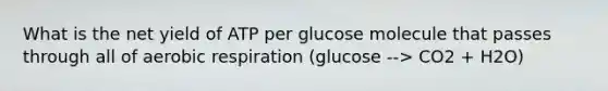 What is the net yield of ATP per glucose molecule that passes through all of aerobic respiration (glucose --> CO2 + H2O)