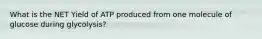 What is the NET Yield of ATP produced from one molecule of glucose during glycolysis?