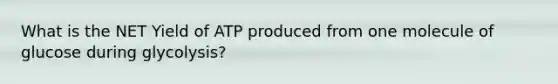 What is the NET Yield of ATP produced from one molecule of glucose during glycolysis?