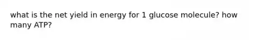 what is the net yield in energy for 1 glucose molecule? how many ATP?