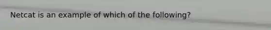 Netcat is an example of which of the following?