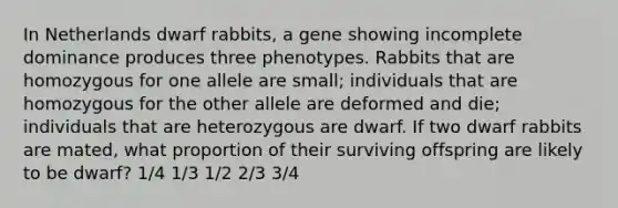 In Netherlands dwarf rabbits, a gene showing incomplete dominance produces three phenotypes. Rabbits that are homozygous for one allele are small; individuals that are homozygous for the other allele are deformed and die; individuals that are heterozygous are dwarf. If two dwarf rabbits are mated, what proportion of their surviving offspring are likely to be dwarf? 1/4 1/3 1/2 2/3 3/4