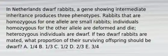 In Netherlands dwarf rabbits, a gene showing intermediate inheritance produces three phenotypes. Rabbits that are homozygous for one allele are small rabbits; individuals homozygous for the other allele are deformed and die; heterozygous individuals are dwarf. If two dwarf rabbits are mated, what proportion of their surviving offspring should be dwarf? A. 1/4 B. 1/3 C. 1/2 D. 2/3 E. 3/4