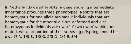 In Netherlands dwarf rabbits, a gene showing intermediate inheritance produces three phenotypes. Rabbits that are homozygous for one allele are small: individuals that are homozygous for the other allele are deformed and die: heterozygous individuals are dwarf. If two dwarf rabbits are mated, what proportion of their surviving offspring should be dwarf? A. 1/3 B. 1/2 C. 2/3 D. 1/4 E. 3/4