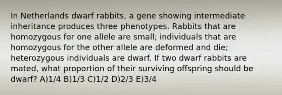 In Netherlands dwarf rabbits, a gene showing intermediate inheritance produces three phenotypes. Rabbits that are homozygous for one allele are small; individuals that are homozygous for the other allele are deformed and die; heterozygous individuals are dwarf. If two dwarf rabbits are mated, what proportion of their surviving offspring should be dwarf? A)1/4 B)1/3 C)1/2 D)2/3 E)3/4