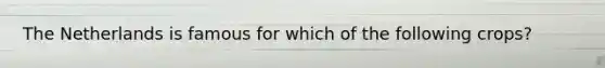 The Netherlands is famous for which of the following crops?