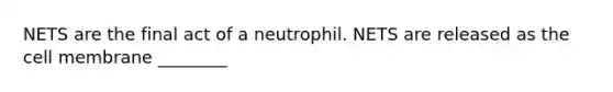 NETS are the final act of a neutrophil. NETS are released as the cell membrane ________