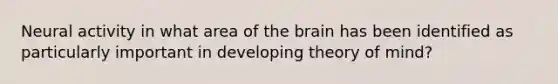 Neural activity in what area of the brain has been identified as particularly important in developing theory of mind?