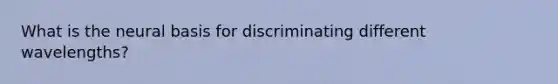 What is the neural basis for discriminating different wavelengths?