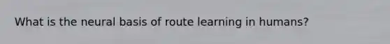 What is the neural basis of route learning in humans?