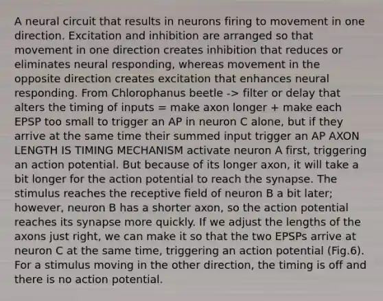 A neural circuit that results in neurons firing to movement in one direction. Excitation and inhibition are arranged so that movement in one direction creates inhibition that reduces or eliminates neural responding, whereas movement in the opposite direction creates excitation that enhances neural responding. From Chlorophanus beetle -> filter or delay that alters the timing of inputs = make axon longer + make each EPSP too small to trigger an AP in neuron C alone, but if they arrive at the same time their summed input trigger an AP AXON LENGTH IS TIMING MECHANISM activate neuron A first, triggering an action potential. But because of its longer axon, it will take a bit longer for the action potential to reach the synapse. The stimulus reaches the receptive field of neuron B a bit later; however, neuron B has a shorter axon, so the action potential reaches its synapse more quickly. If we adjust the lengths of the axons just right, we can make it so that the two EPSPs arrive at neuron C at the same time, triggering an action potential (Fig.6). For a stimulus moving in the other direction, the timing is off and there is no action potential.