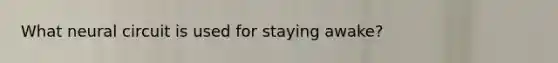 What neural circuit is used for staying awake?