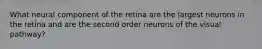 What neural component of the retina are the largest neurons in the retina and are the second order neurons of the visual pathway?