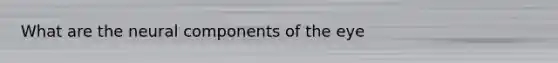 What are the neural components of the eye