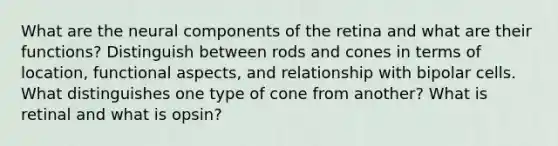 What are the neural components of the retina and what are their functions? Distinguish between rods and cones in terms of location, functional aspects, and relationship with bipolar cells. What distinguishes one type of cone from another? What is retinal and what is opsin?