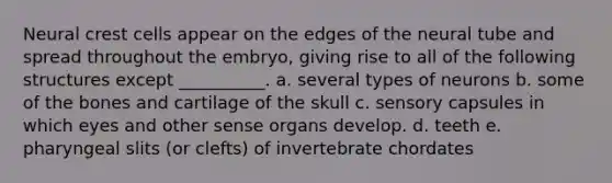 Neural crest cells appear on the edges of the neural tube and spread throughout the embryo, giving rise to all of the following structures except __________. a. several types of neurons b. some of the bones and cartilage of the skull c. sensory capsules in which eyes and other sense organs develop. d. teeth e. pharyngeal slits (or clefts) of invertebrate chordates